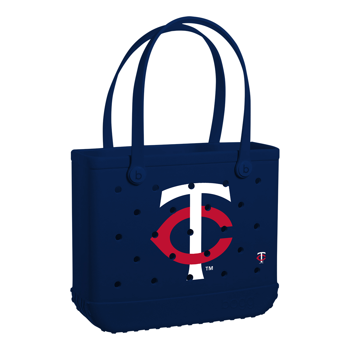 Baby Bag - Minnesota Twins